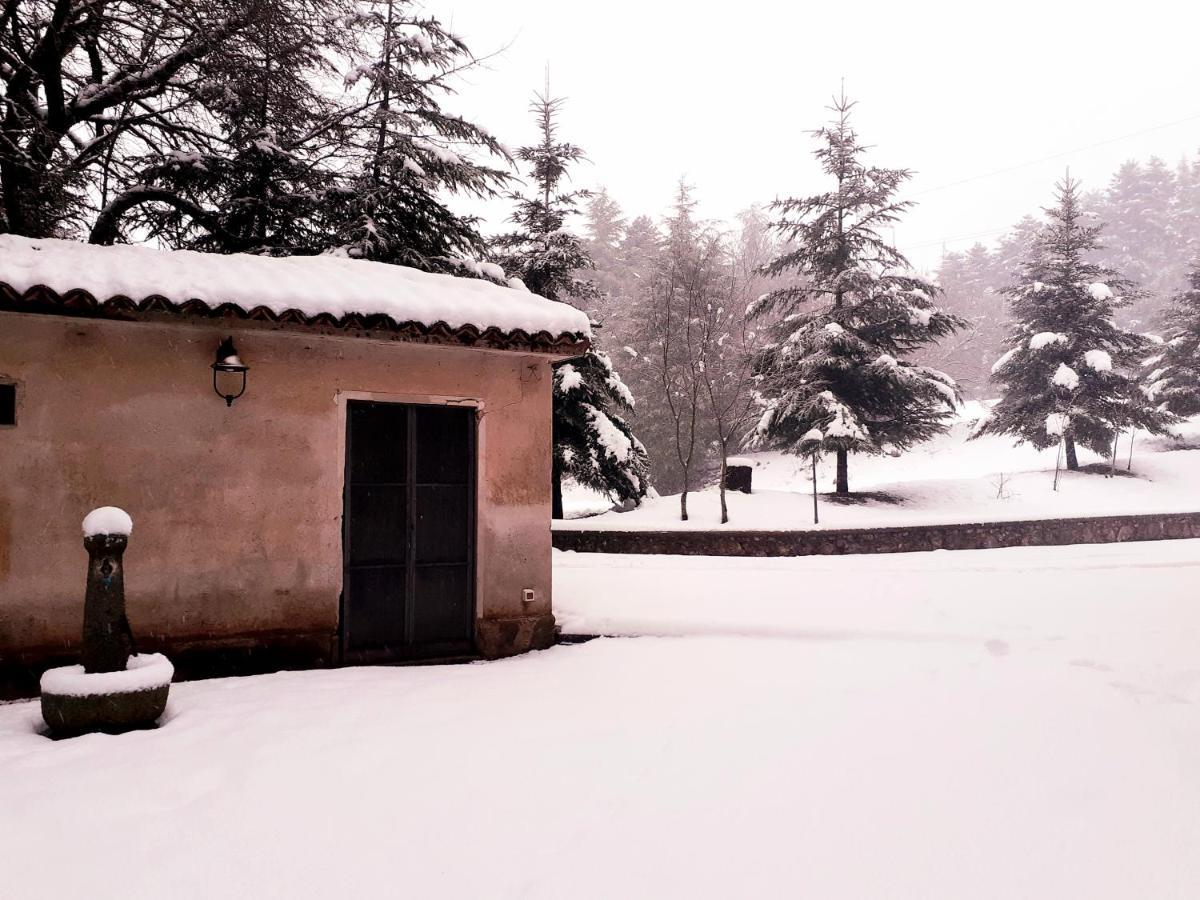 Casa Alegria Bed & Breakfast Morano Calabro Exterior photo