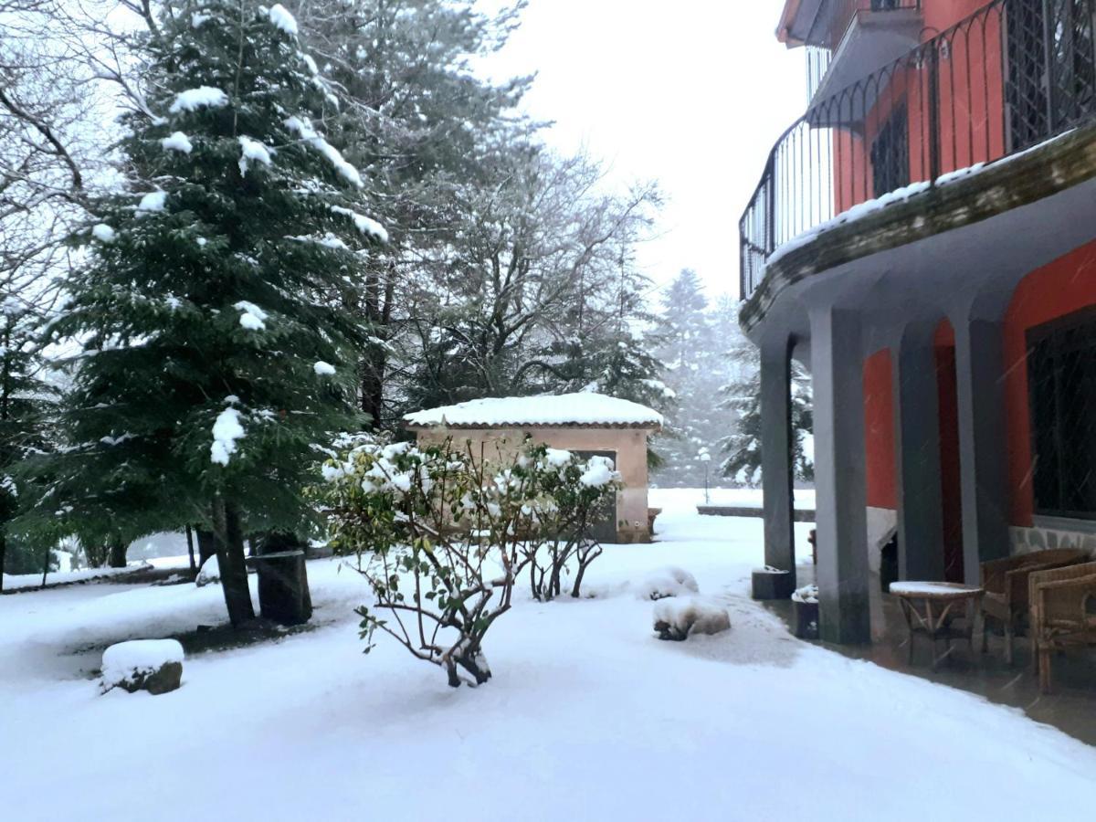Casa Alegria Bed & Breakfast Morano Calabro Exterior photo